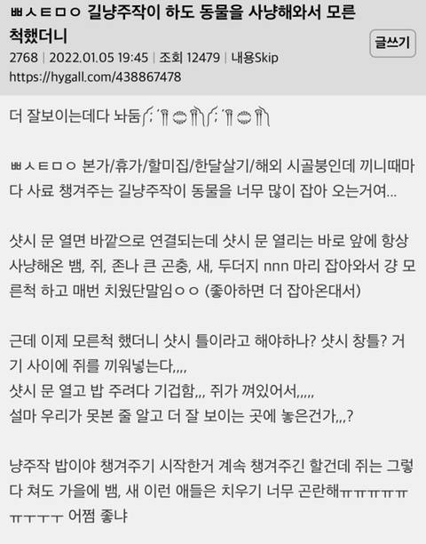 길고양이가 하도 동물을 사냥해와서 모른척 했더니