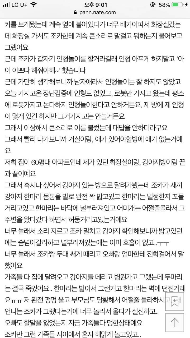 (후기)조카가 강아지 죽였어요 싸이코패스같아요.. 4년이 지났습니다 | 인스티즈