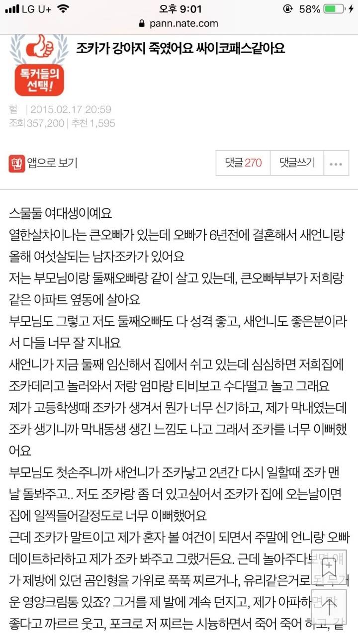 (후기)조카가 강아지 죽였어요 싸이코패스같아요.. 4년이 지났습니다 | 인스티즈