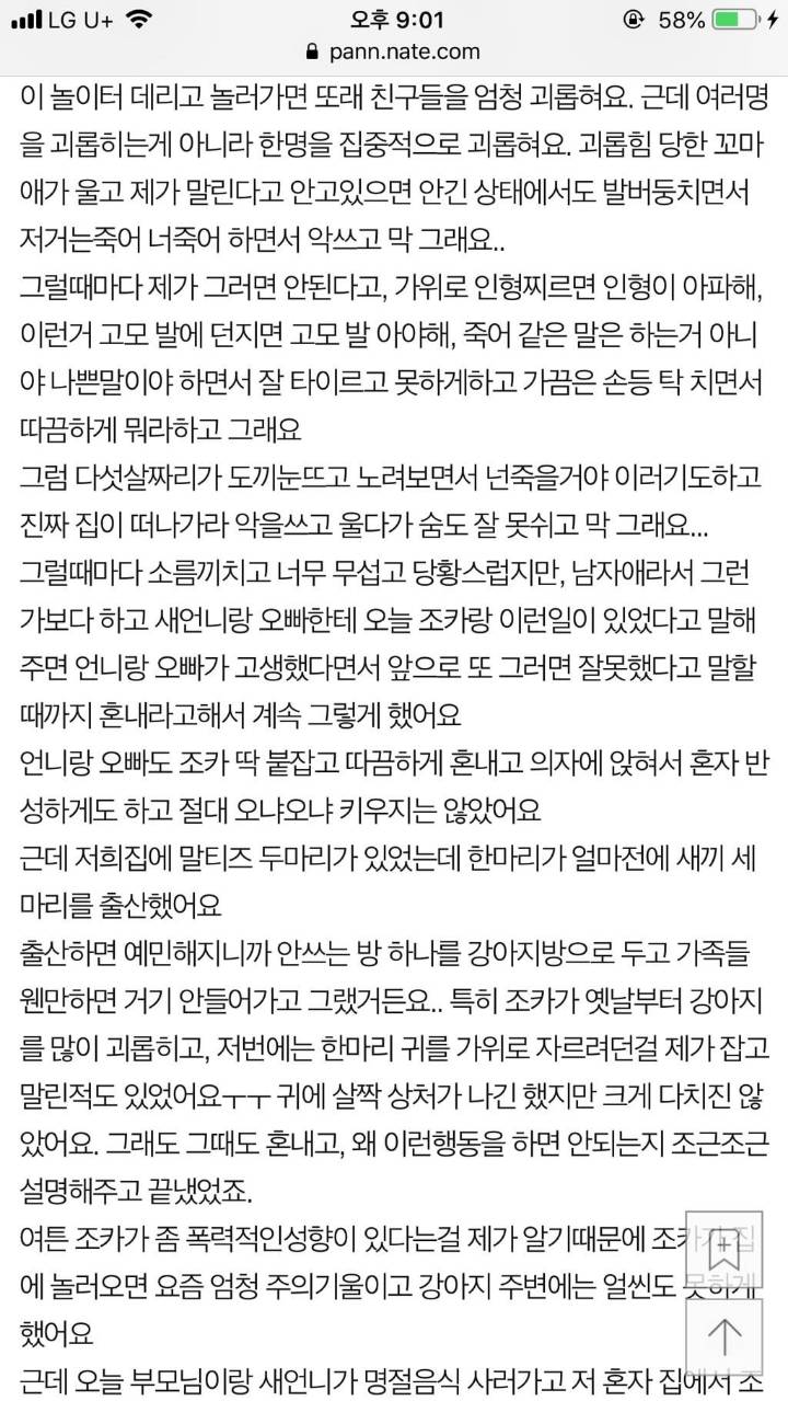 (후기)조카가 강아지 죽였어요 싸이코패스같아요.. 4년이 지났습니다 | 인스티즈