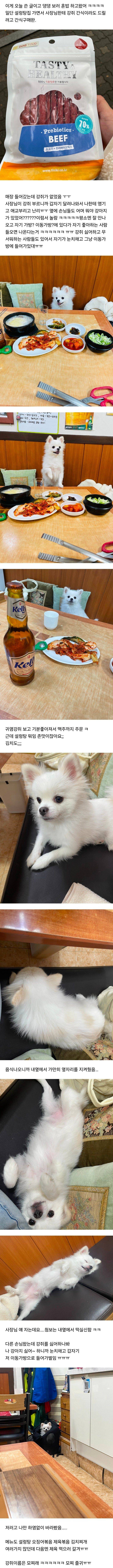 혼밥하면 앞에 강쥐가 있어주는 설렁탕집 후기