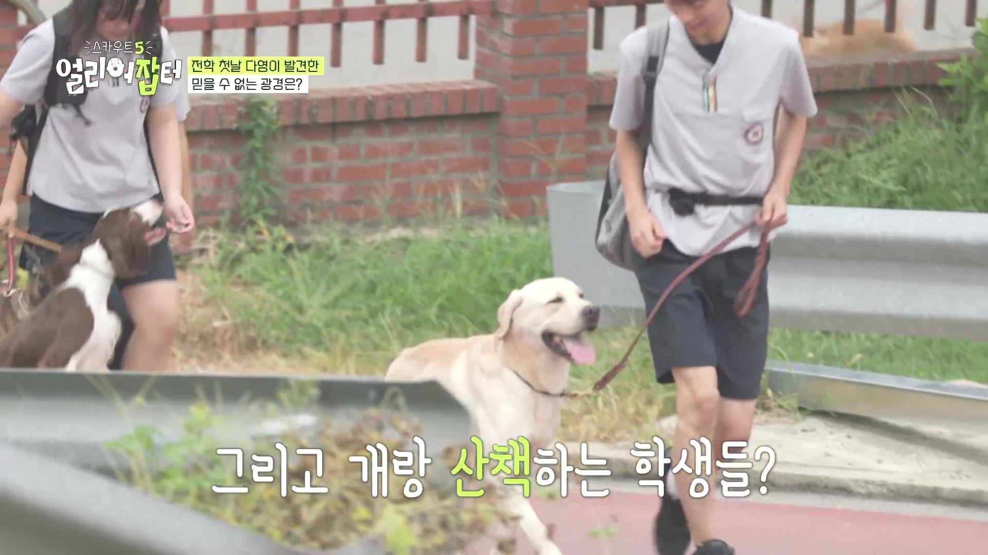 국내 대회 심사위원도 참여한 국제 대회에서 장려상 받은 고등학생 | 인스티즈