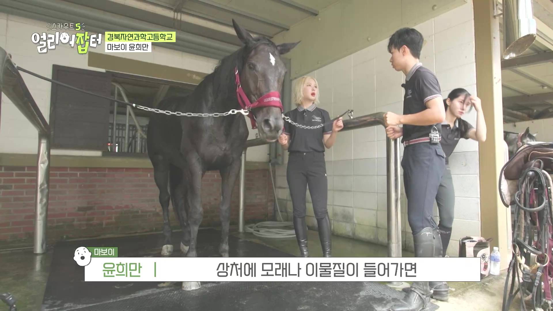 국내 대회 심사위원도 참여한 국제 대회에서 장려상 받은 고등학생 | 인스티즈