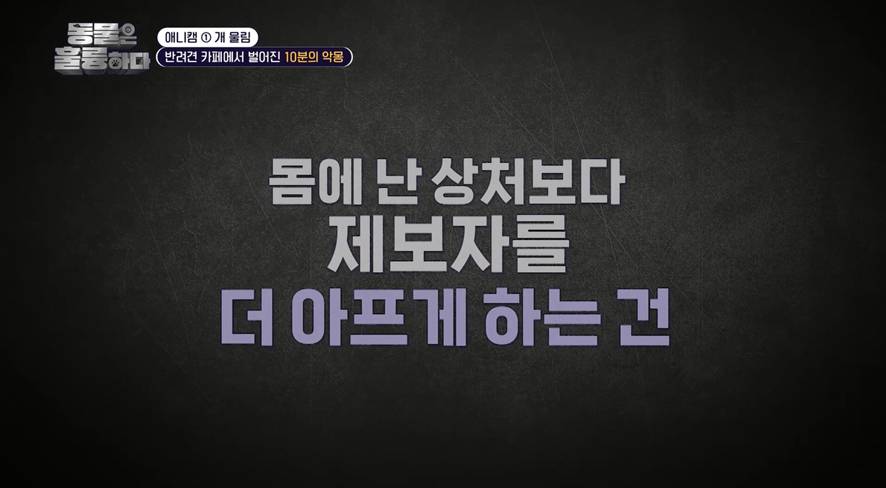 진짜 희귀한 방송에서 찐으로 행복한 표정 짓는 서장훈…jpg | 인스티즈