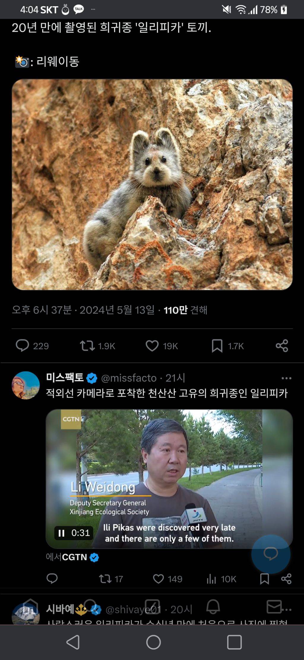 nokbeon.net-20년만에 촬영됐다는 희귀종 토끼-1번 이미지