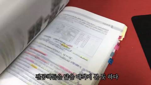제주도에서 고양이와 함께사는 힐링 유튜버 윤이버셜 | 인스티즈