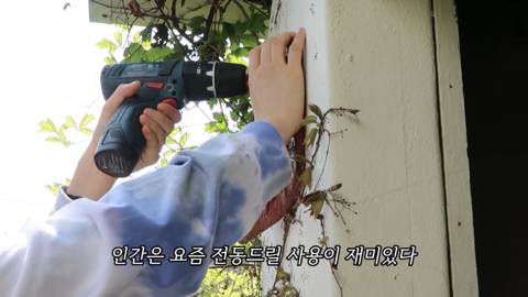 제주도에서 고양이와 함께사는 힐링 유튜버 윤이버셜 | 인스티즈