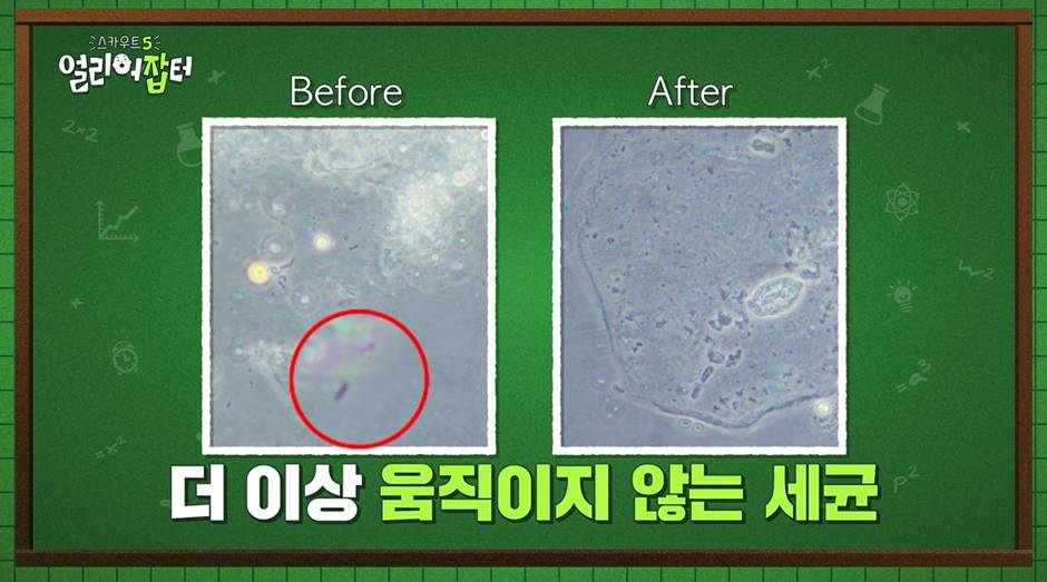 한 학교에서 한 과에 매년 지원하는 비용이 1억인 이유…jpg | 인스티즈