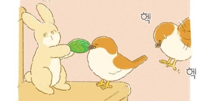 뜨개방에서 털실을 받아왔는데 실이 움직이는 것 같아요 | 인스티즈