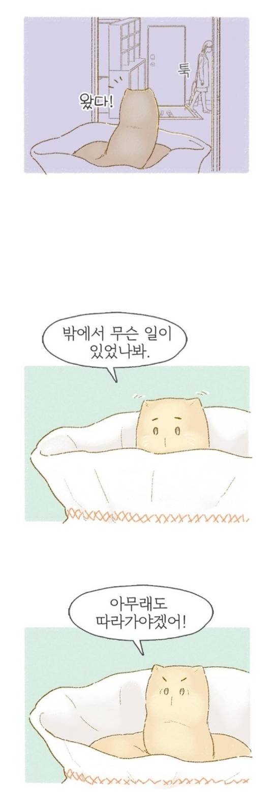 뜨개방에서 털실을 받아왔는데 실이 움직이는 것 같아요 | 인스티즈