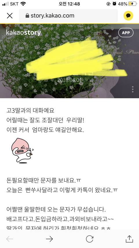 아 울엄마 카스에 이런거 올렸었네 | 인스티즈