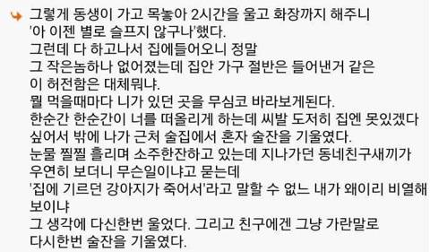 다시는 개 안키운다 | 인스티즈