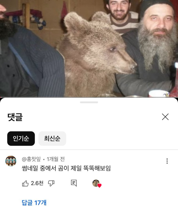 썸네일 중에서 곰이 제일 똑똑해보임