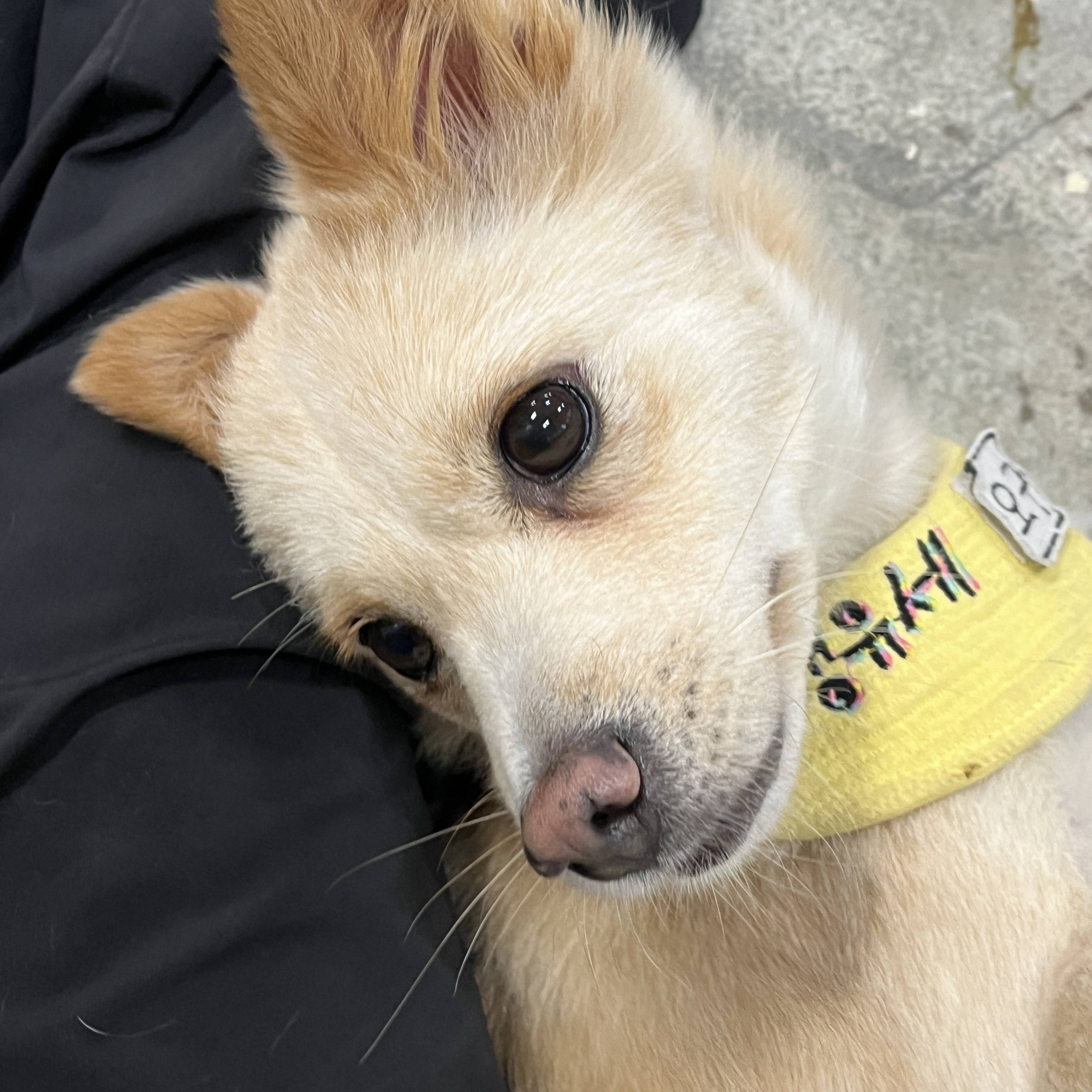 언니 나 안아.. 맨날 뽀뽀해주께💛 사랑둥이 오구의 평생가좍을 찾습니다! | 인스티즈