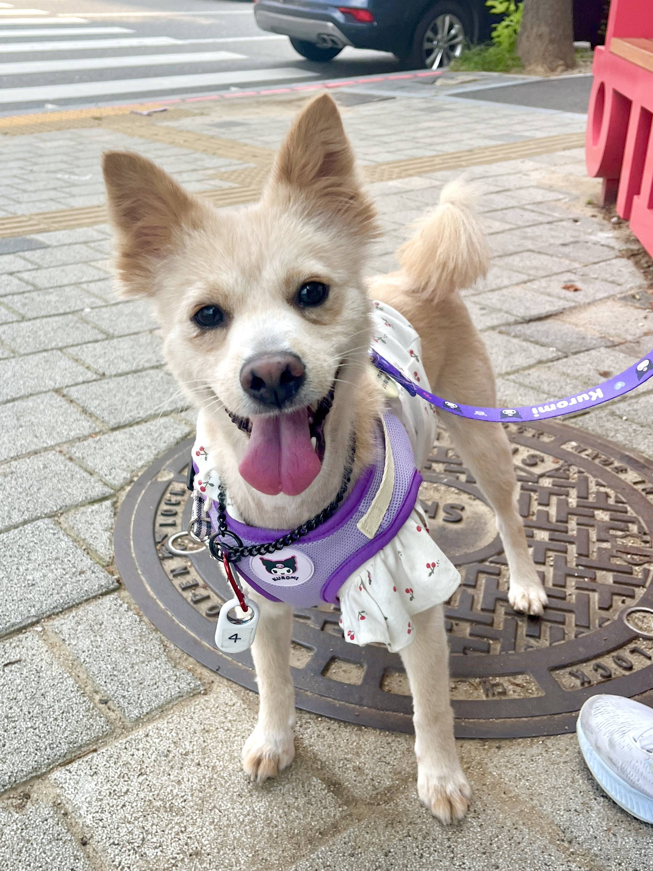 언니 나 안아.. 맨날 뽀뽀해주께💛 사랑둥이 오구의 평생가좍을 찾습니다! | 인스티즈