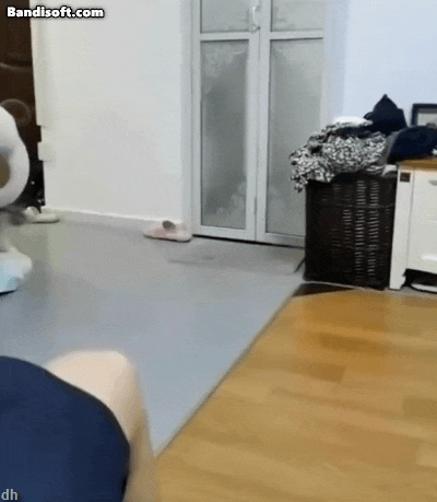 nokbeon.net-고양이 키우고 싶어지는 움짤쓰.gif-4번 이미지