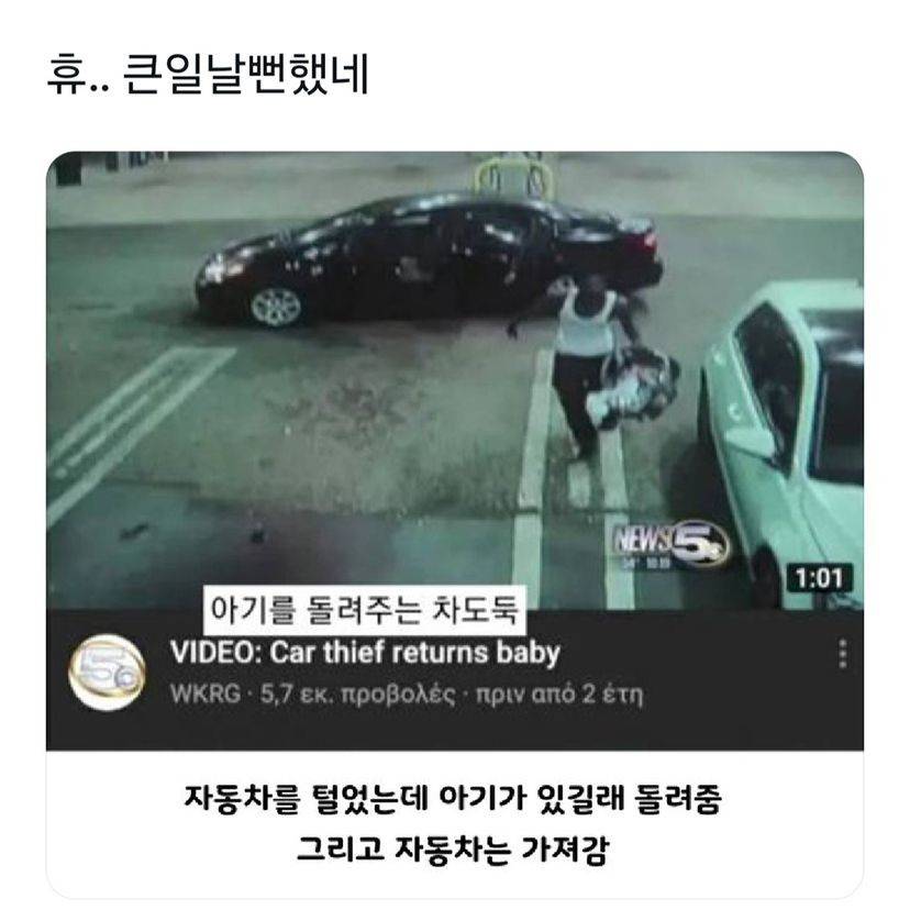 아기를 돌려주는 차도둑