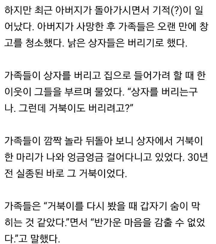 30년 간 굶으며 홀로 지낸 거북이, 극적 가족 상봉 | 인스티즈