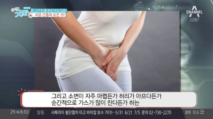 자궁근종이 있다는 증상 | 인스티즈