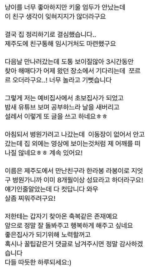 nokbeon.net-모르는 고양이한테 박치기 당한 사람.jpg-7번 이미지