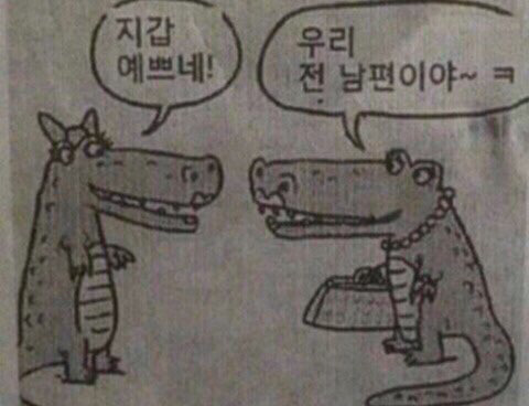 오늘자 익담을 뒤집어 놓은 네스퀵무나대란 | 인스티즈