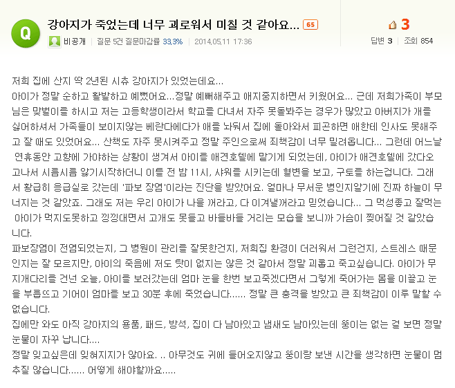 처음에 애완동물 만났을때 너무 좋고 이뻐서 생각못하는거.jpg | 인스티즈