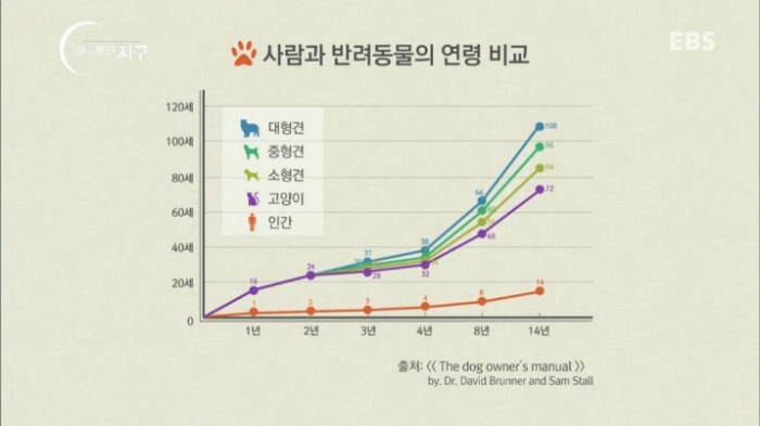 처음에 애완동물 만났을때 너무 좋고 이뻐서 생각못하는거.jpg | 인스티즈