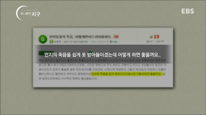 처음에 애완동물 만났을때 너무 좋고 이뻐서 생각못하는거.jpg | 인스티즈