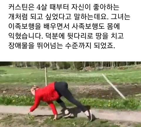 개처럼 사족보행하는 여자 gif | 인스티즈