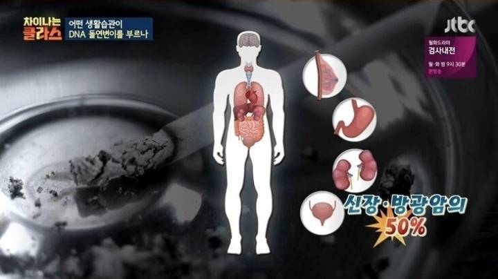 담배 필터 개발 이후 변한 폐암 발병.jpg | 인스티즈