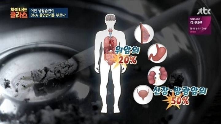 담배 필터 개발 이후 변한 폐암 발병.jpg | 인스티즈