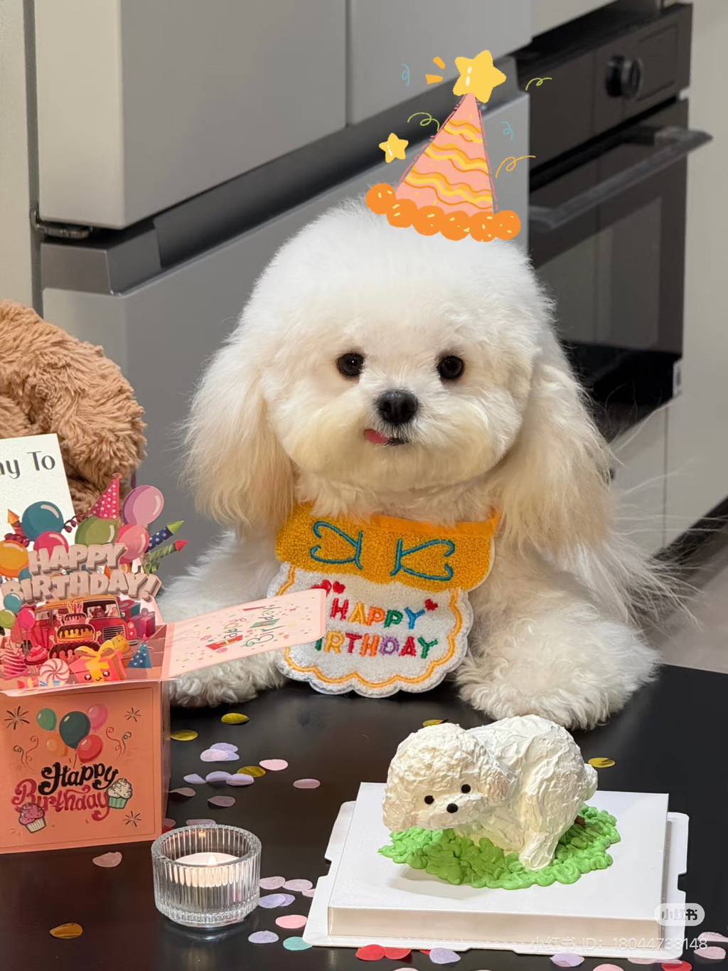 nokbeon.net-내 생일에 내가 똥싸는 케이크 먹음-1번 이미지