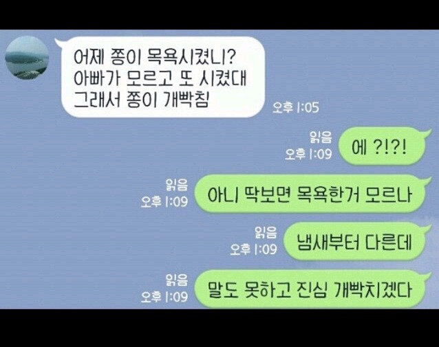 내기준 정말웃겼던 익웃 캡쳐들 모음ㅋㅋㅋㅋㅋㅋㅋㅋ | 인스티즈