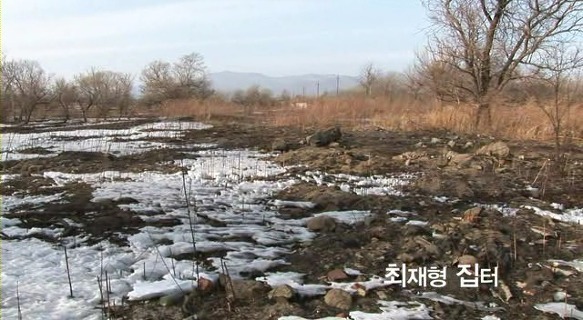 잊혀진 기록 독립운동의 대부, 최재형 | 인스티즈