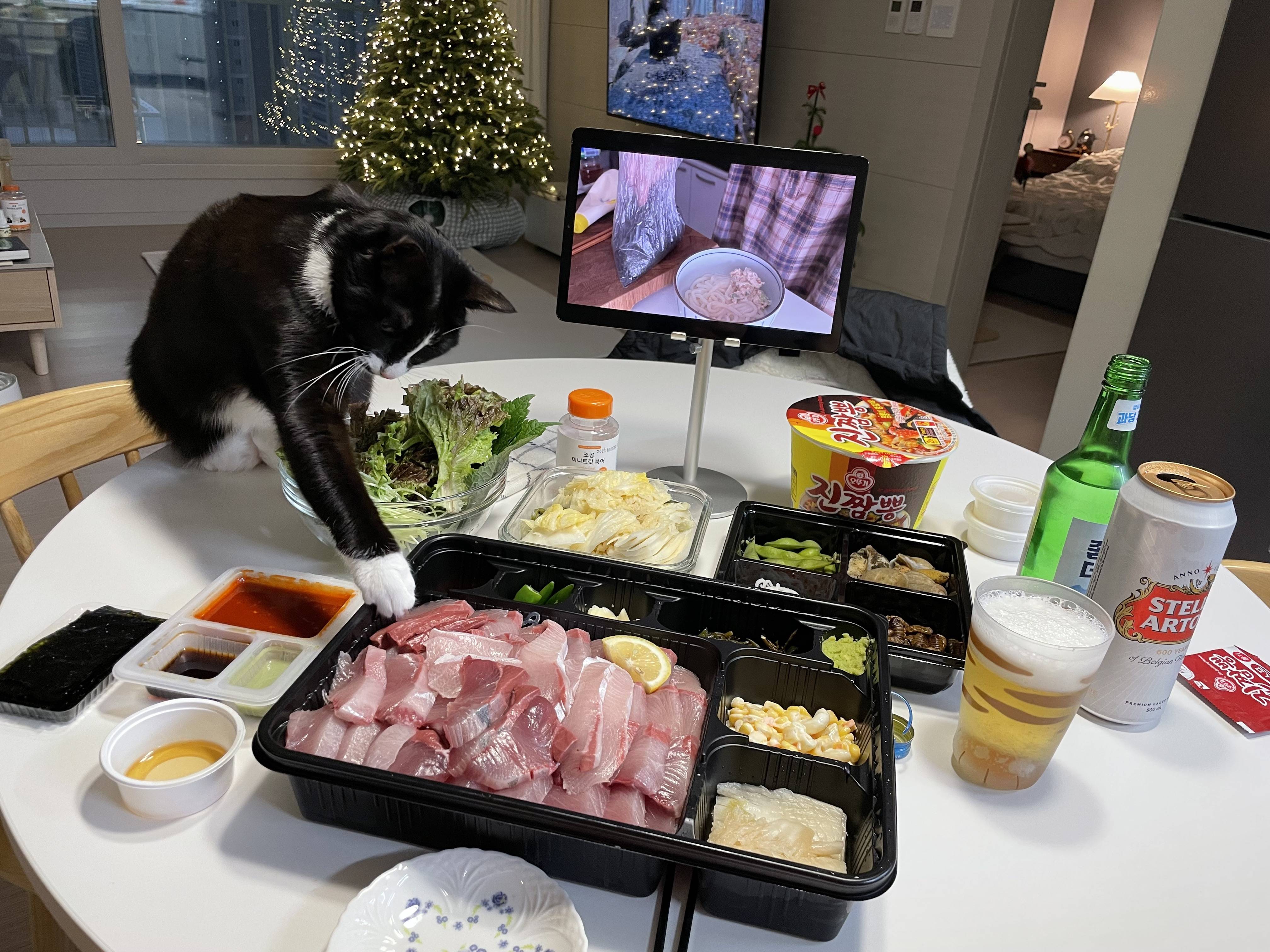 nokbeon.net- 안주 뽏이는 고양이 어떤데 ㅋ-3번 이미지
