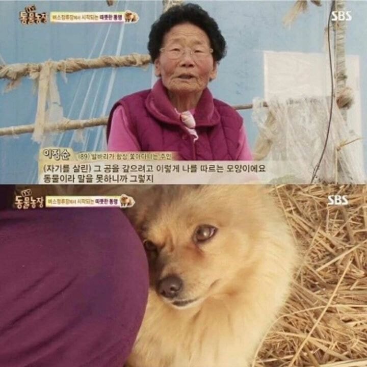 자기를 구해준 할머니가 너무 좋았던 갱얼쥐,,,jpg | 인스티즈