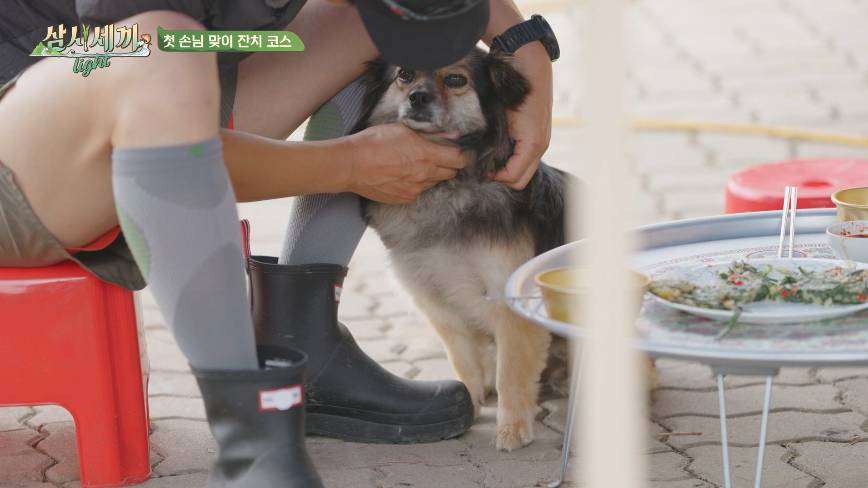 nokbeon.net-순해도 너무 순한 삼시세끼 복구.jpgif-22번 이미지