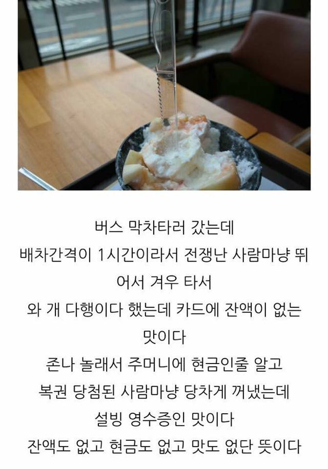 어떤 사람의 설빙 복숭아빙수 후기 | 인스티즈