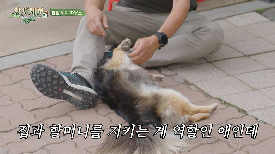 nokbeon.net-순해도 너무 순한 삼시세끼 복구.jpgif-6번 이미지