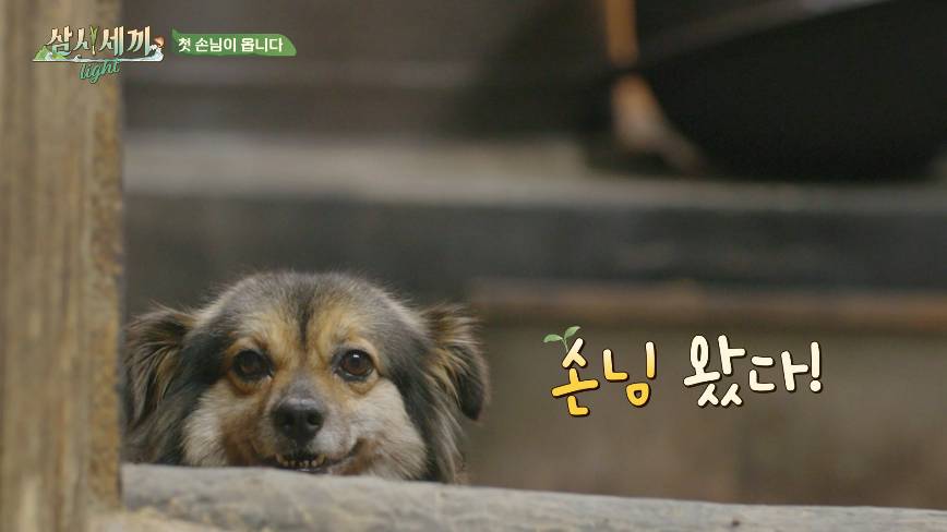 nokbeon.net-순해도 너무 순한 삼시세끼 복구.jpgif-17번 이미지