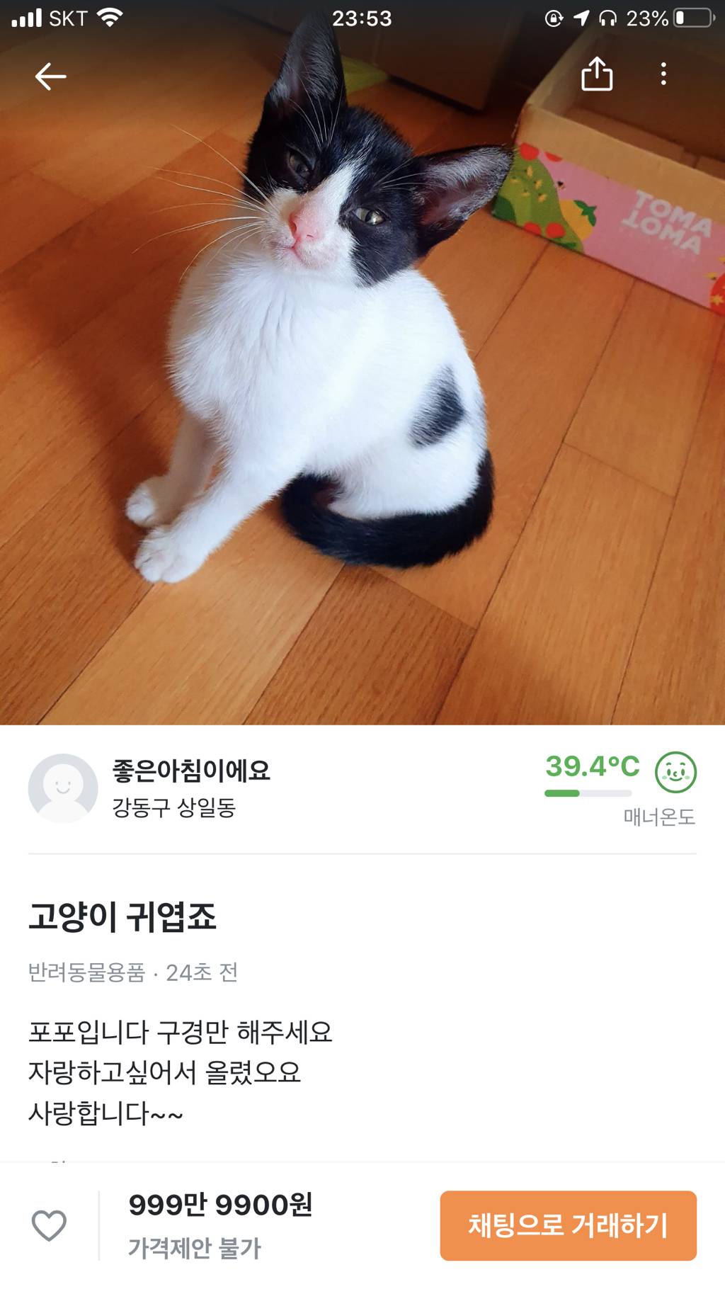 당근마켓에 올라온 고양이... 자랑 | 인스티즈