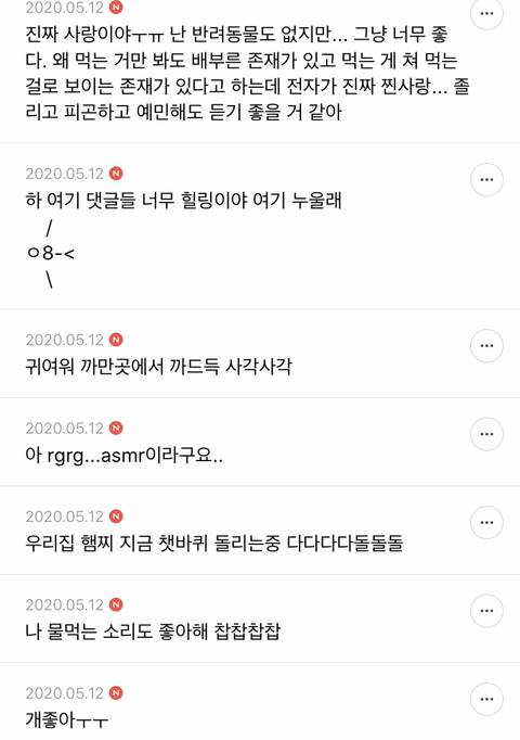 의외로 반려동물이 오밤중에 소리내는거 좋아하는 여시들이 많은것같은 달글 캡쳐 | 인스티즈