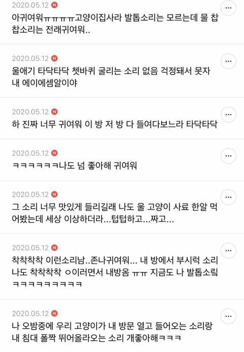 의외로 반려동물이 오밤중에 소리내는거 좋아하는 여시들이 많은것같은 달글 캡쳐 | 인스티즈