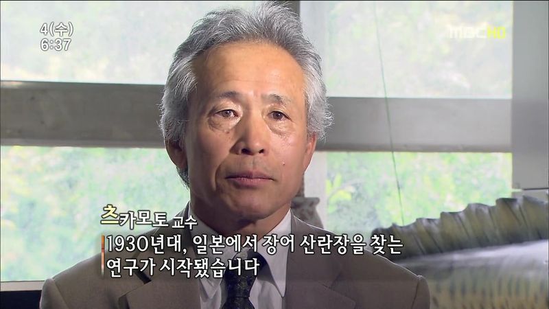 뱀장어 미스테리 | 인스티즈