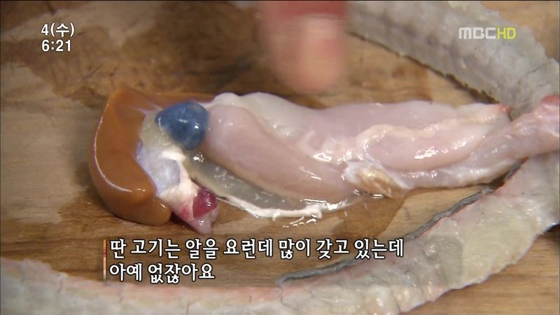 뱀장어 미스테리 | 인스티즈