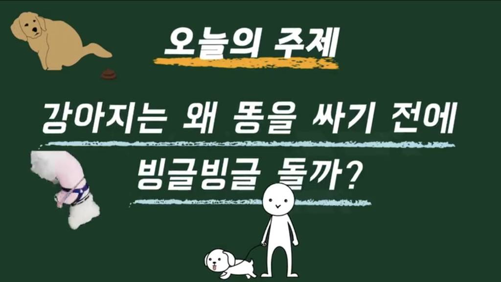 강아지는 왜 똥을 싸기 전에 빙글빙글 돌까? | 인스티즈