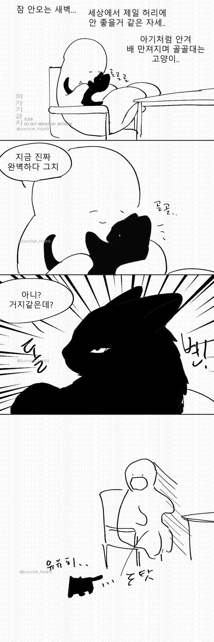 당신은 행운의 뚱땡이 고양이를 보았습니다 | 인스티즈