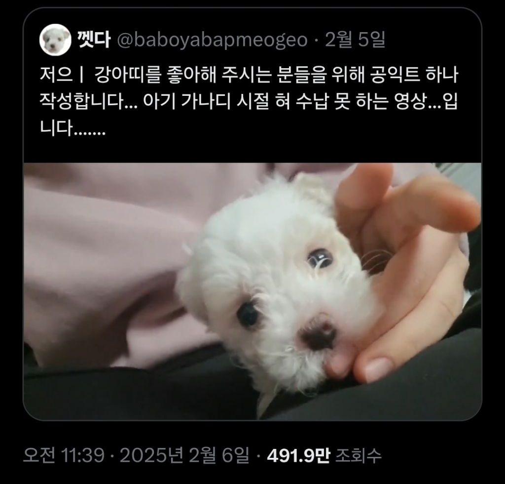 듀가나디가 실존..