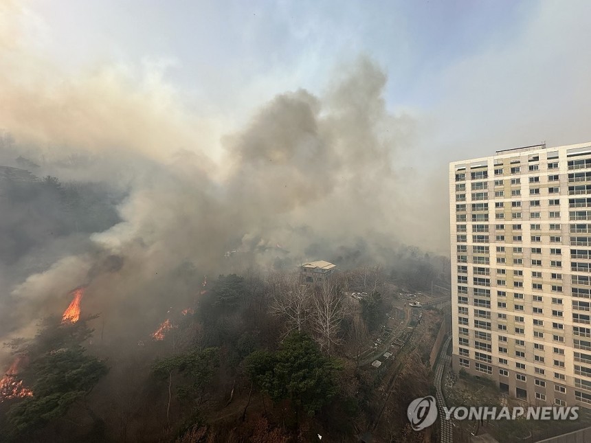  25일 울산 울주군 언양읍 송대리에서 발생한 산불