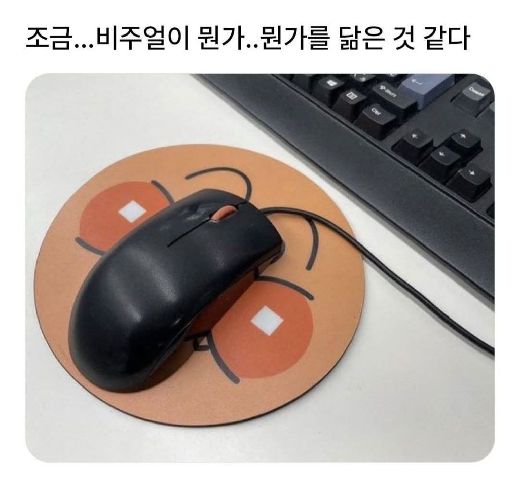  파인애플피자를 보는 이탈리아인의 기분을 조금은 알 것 같다